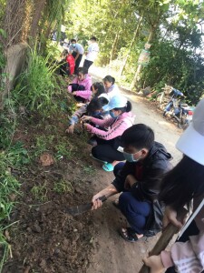 Các bạn sinh viên đang trồng hoa bên đường